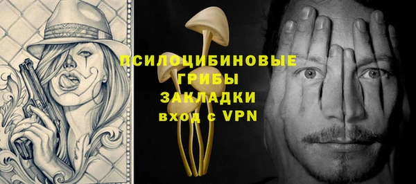 ешки Алексеевка