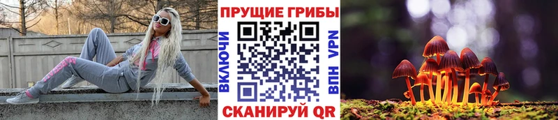 Галлюциногенные грибы прущие грибы Ачинск